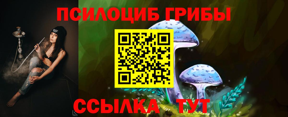 Псилоцибиновые грибы мухоморы  как найти закладки  Пушкино  Вход с VPN 